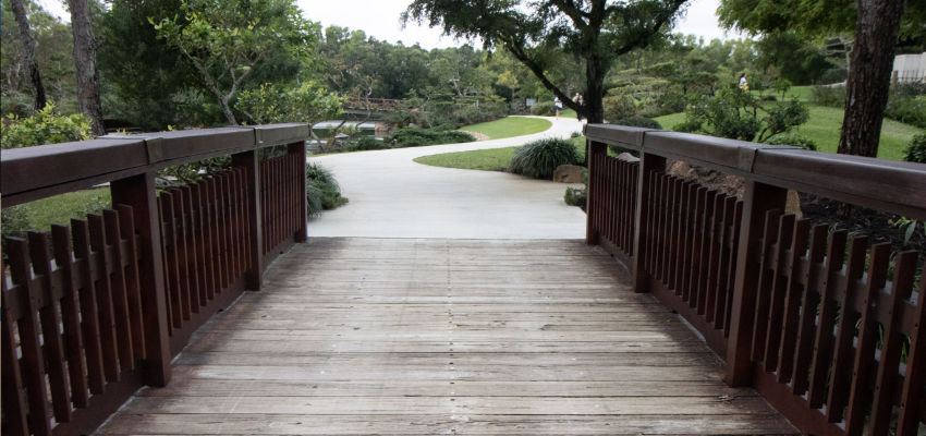 Overall – Kaeru’s Japanese Learning Goals